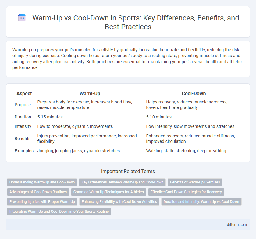 Warm-Up vs Cool-Down in Sports: Key Differences, Benefits, and Best Practices