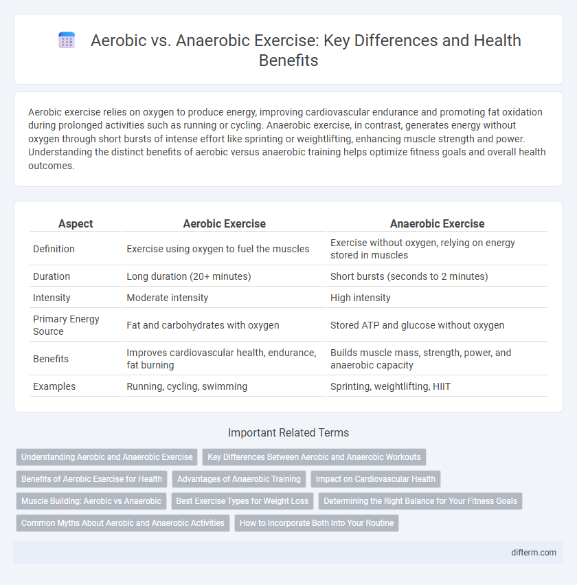 Aerobic vs. Anaerobic Exercise: Key Differences and Health Benefits
