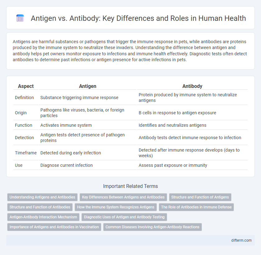 Antigen vs. Antibody: Key Differences and Roles in Human Health