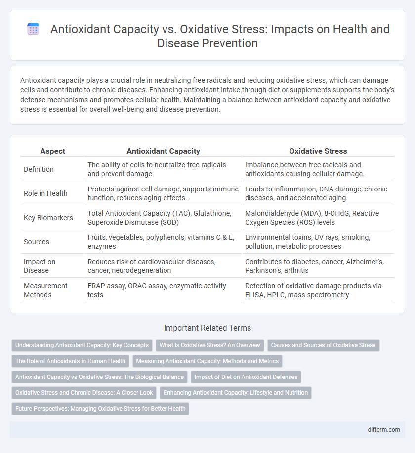 Antioxidant Capacity vs. Oxidative Stress: Impacts on Health and Disease Prevention