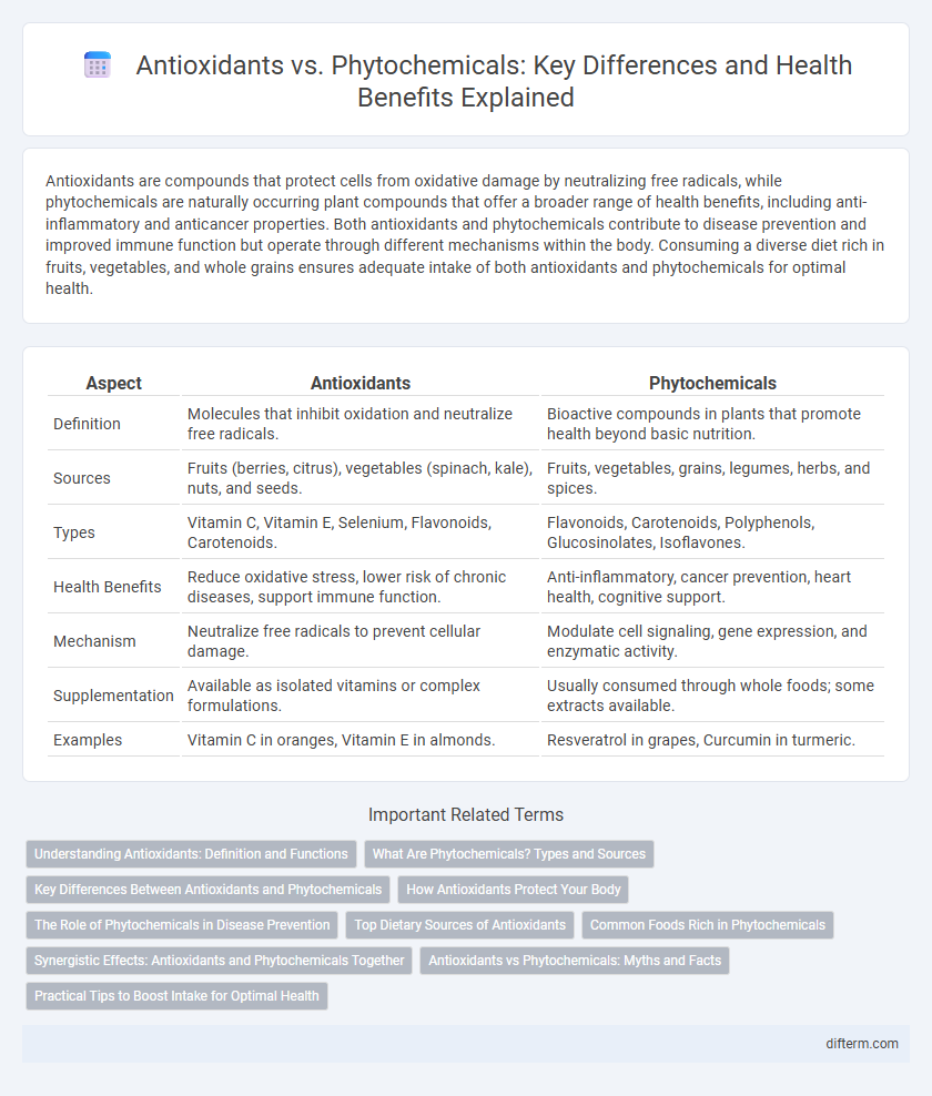 Antioxidants vs. Phytochemicals: Key Differences and Health Benefits Explained