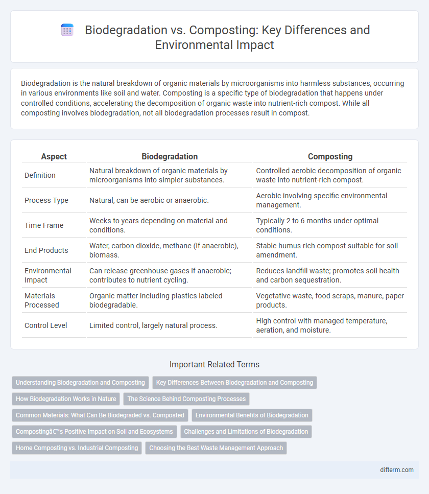 Biodegradation vs. Composting: Key Differences and Environmental Impact