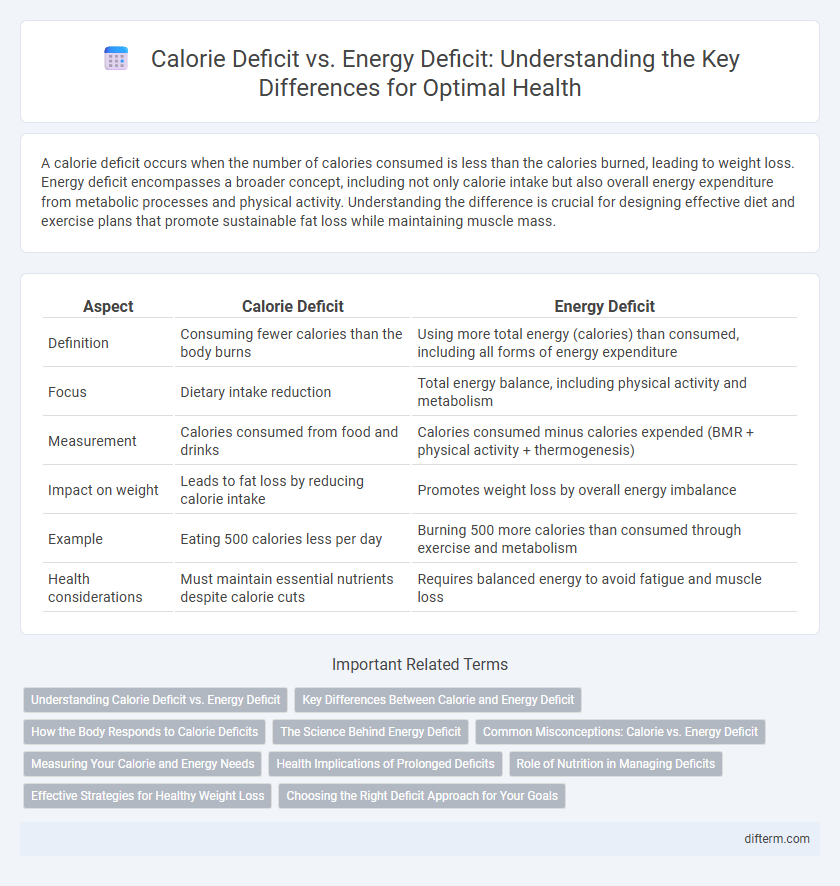 Calorie Deficit vs. Energy Deficit: Understanding the Key Differences for Optimal Health