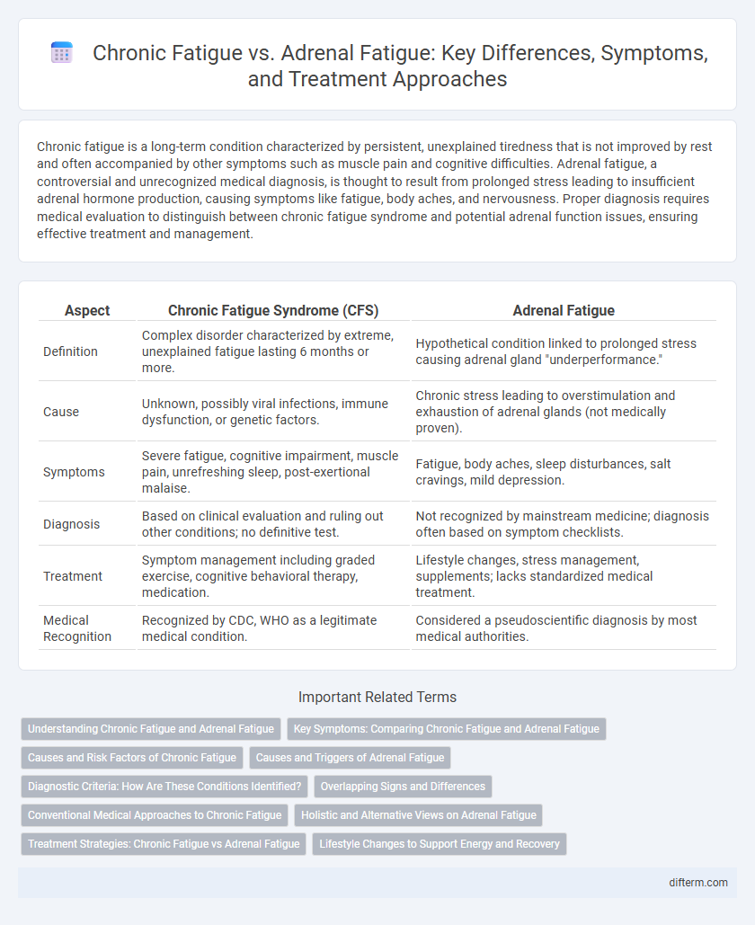 Chronic Fatigue vs. Adrenal Fatigue: Key Differences, Symptoms, and Treatment Approaches