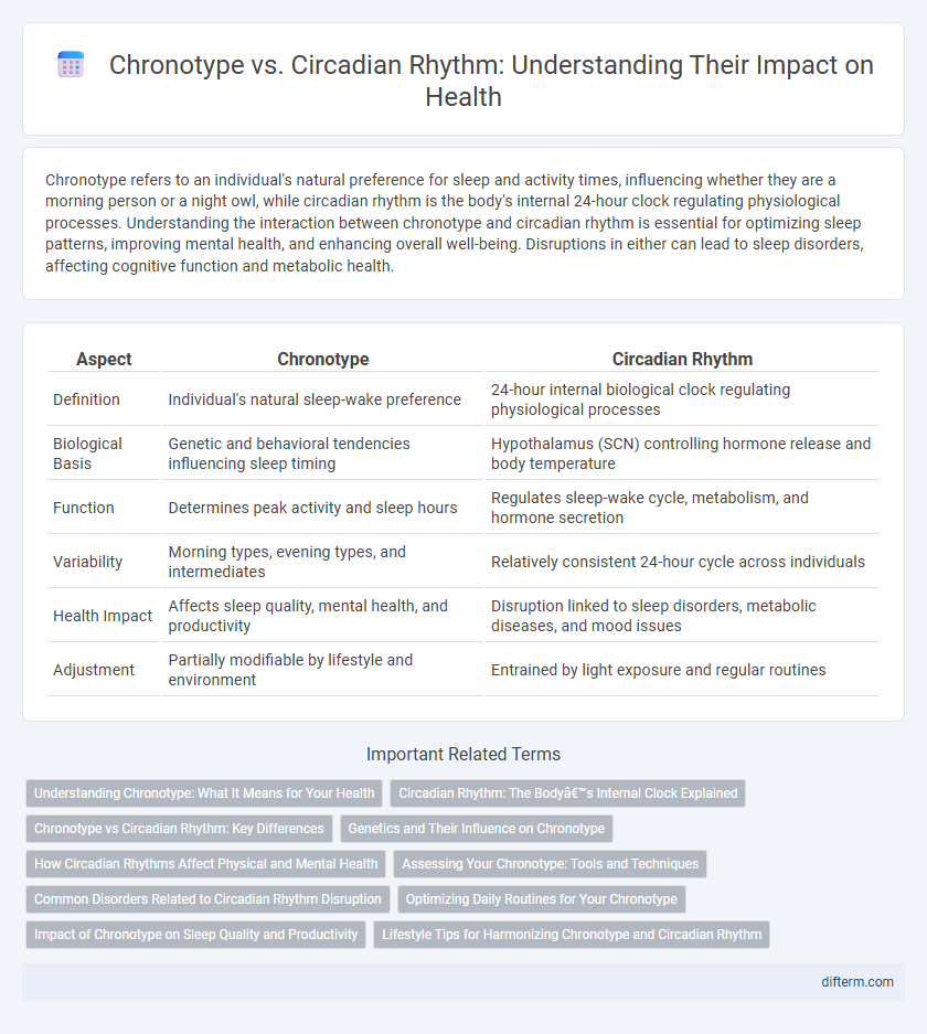 Chronotype vs. Circadian Rhythm: Understanding Their Impact on Health