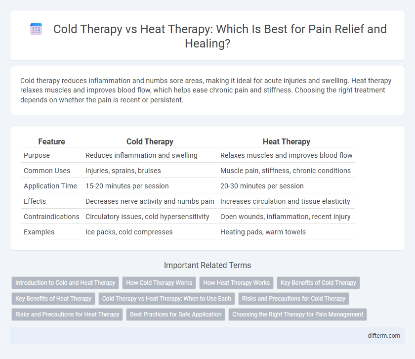 Cold Therapy vs Heat Therapy: Which Is Best for Pain Relief and Healing?