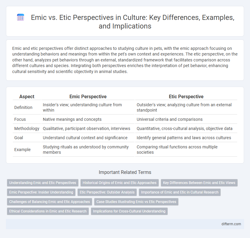 Emic vs. Etic Perspectives in Culture: Key Differences, Examples, and Implications