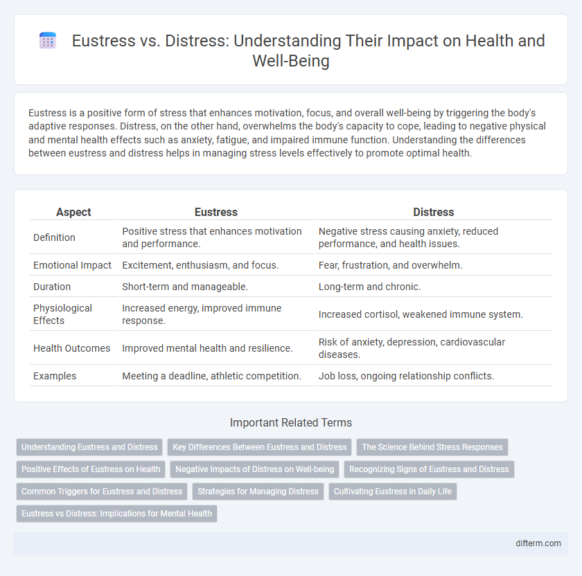 Eustress vs. Distress: Understanding Their Impact on Health and Well-Being
