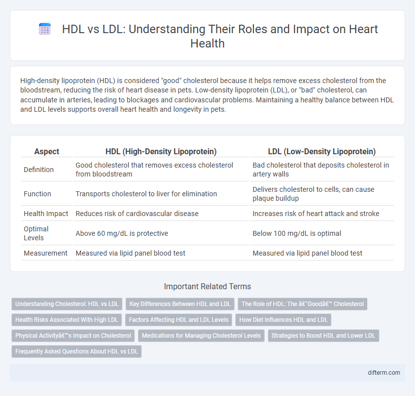 HDL vs LDL: Understanding Their Roles and Impact on Heart Health