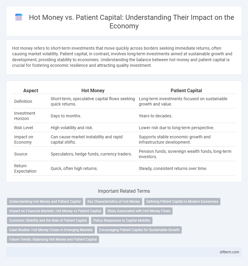 Hot Money vs. Patient Capital: Understanding Their Impact on the Economy