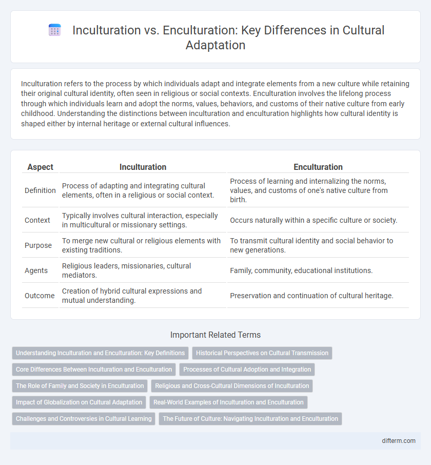 Inculturation vs. Enculturation: Key Differences in Cultural Adaptation