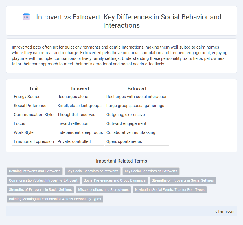 Introvert vs Extrovert: Key Differences in Social Behavior and Interactions