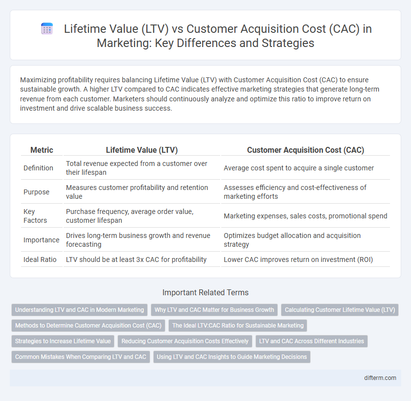 Lifetime Value (LTV) vs Customer Acquisition Cost (CAC) in Marketing: Key Differences and Strategies