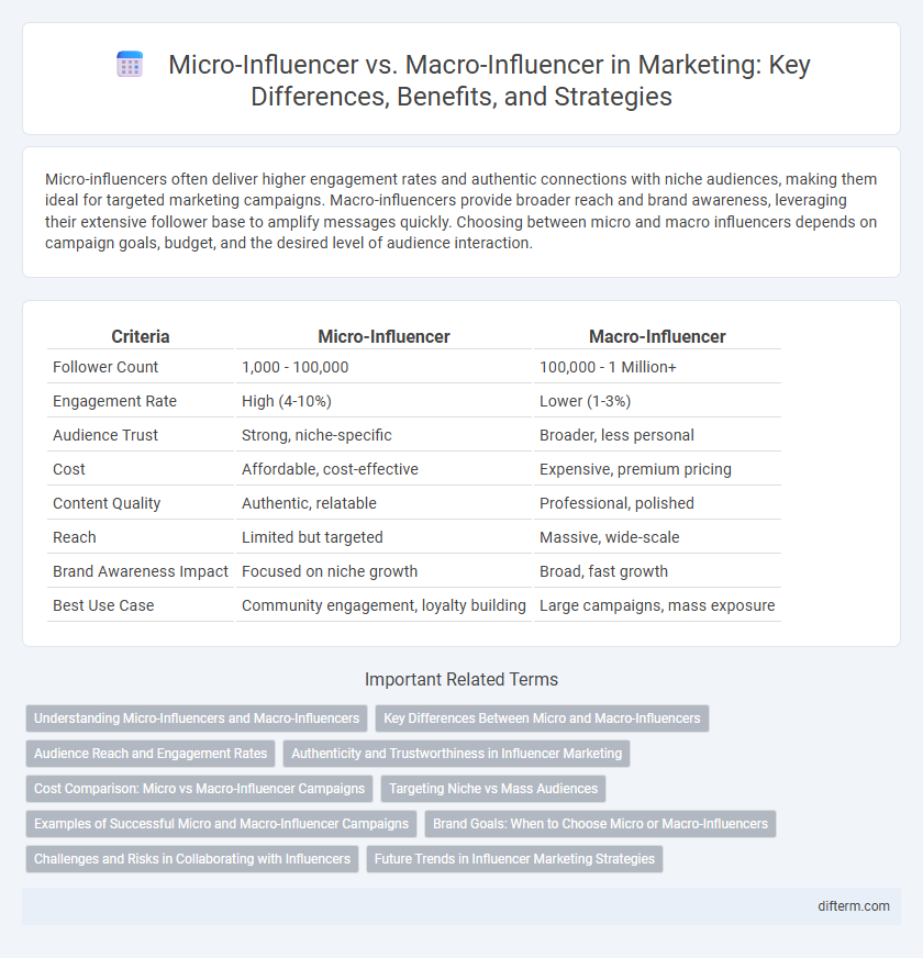 Micro-Influencer vs. Macro-Influencer in Marketing: Key Differences, Benefits, and Strategies