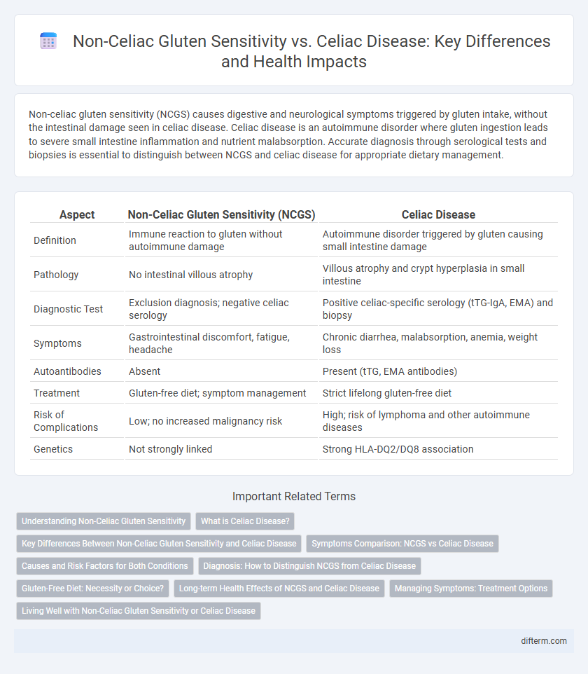 Non-Celiac Gluten Sensitivity vs. Celiac Disease: Key Differences and Health Impacts