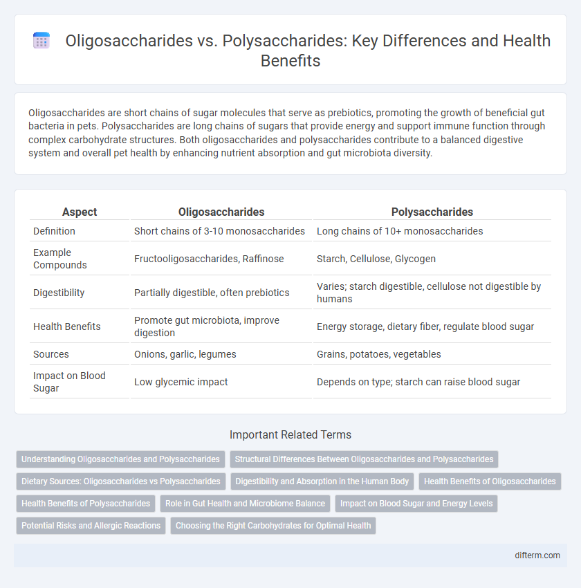 Oligosaccharides vs. Polysaccharides: Key Differences and Health Benefits