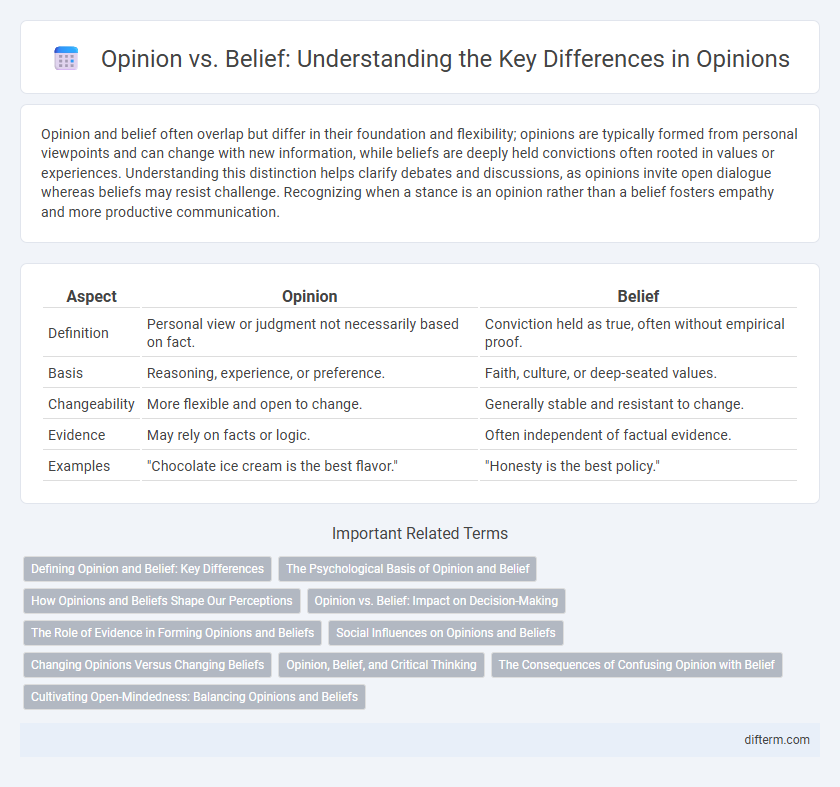 Opinion vs. Belief: Understanding the Key Differences in Opinions