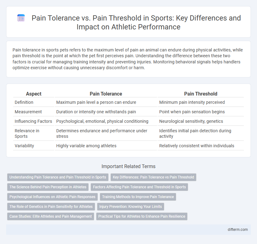 Pain Tolerance vs. Pain Threshold in Sports: Key Differences and Impact on Athletic Performance