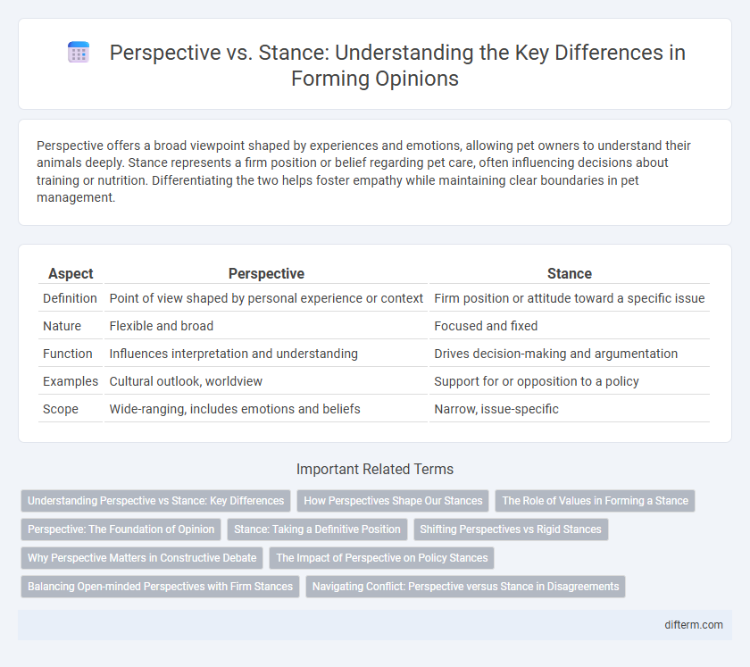 Perspective vs. Stance: Understanding the Key Differences in Forming Opinions