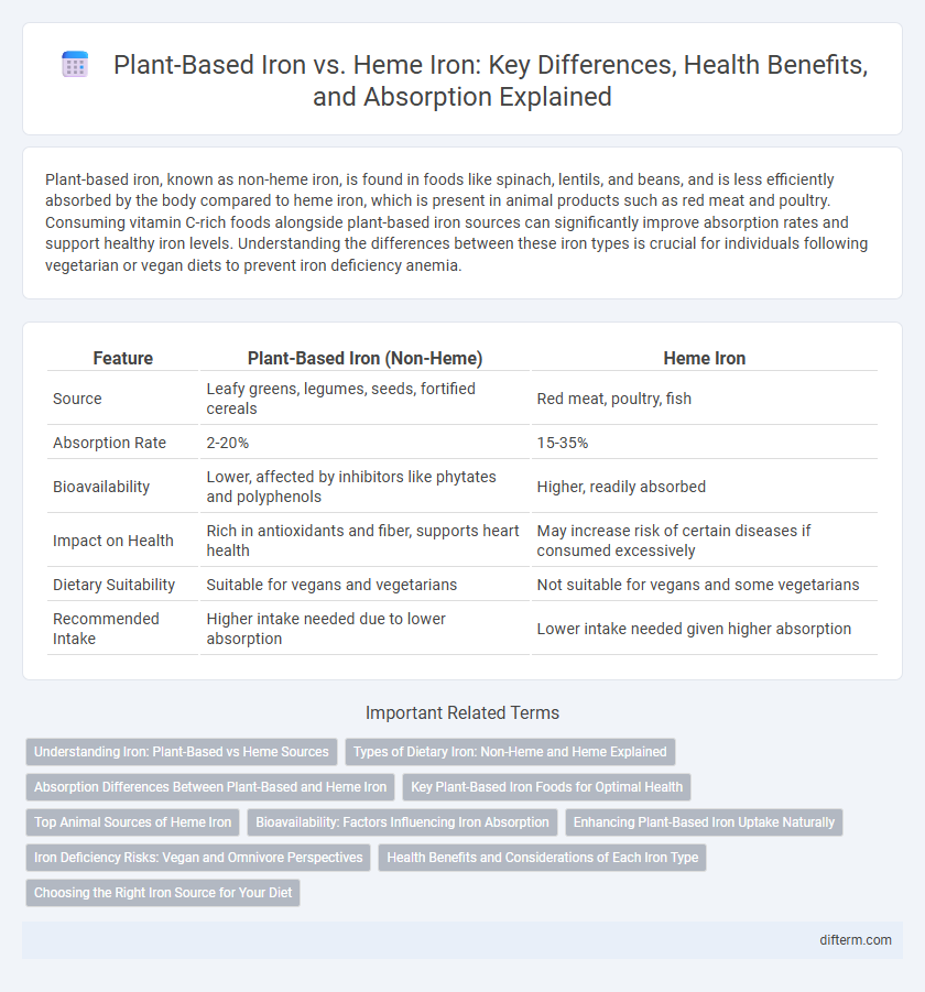 Plant-Based Iron vs. Heme Iron: Key Differences, Health Benefits, and Absorption Explained