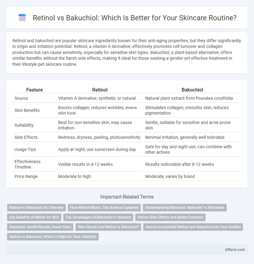 Retinol vs Bakuchiol: Which Is Better for Your Skincare Routine?