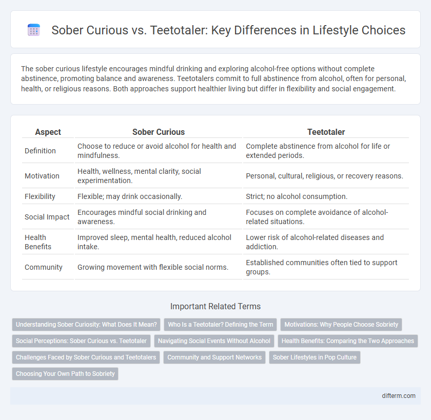Sober Curious vs. Teetotaler: Key Differences in Lifestyle Choices