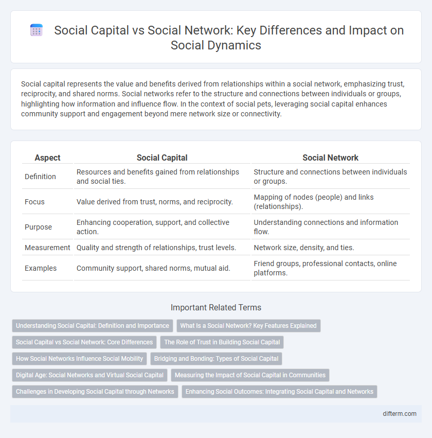Social Capital vs Social Network: Key Differences and Impact on Social Dynamics