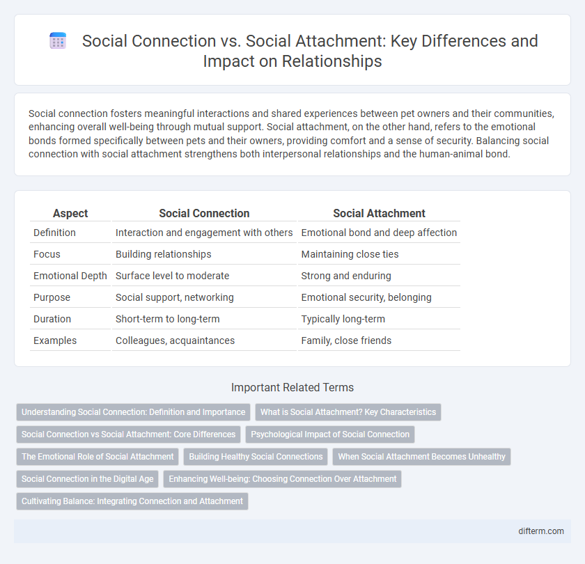 Social Connection vs. Social Attachment: Key Differences and Impact on Relationships
