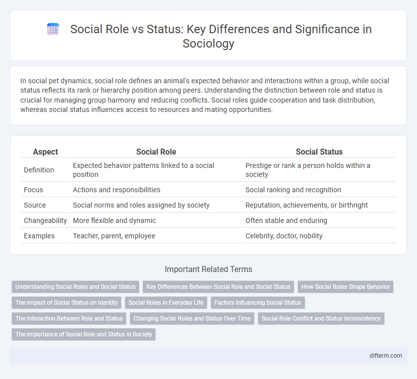 Social Role vs Status: Key Differences and Significance in Sociology