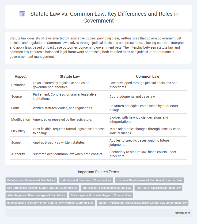 Statute Law vs. Common Law: Key Differences and Roles in Government