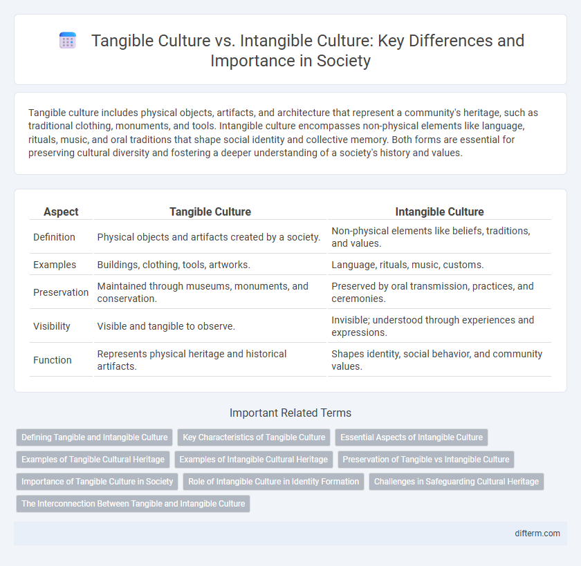 Tangible Culture vs. Intangible Culture: Key Differences and Importance in Society