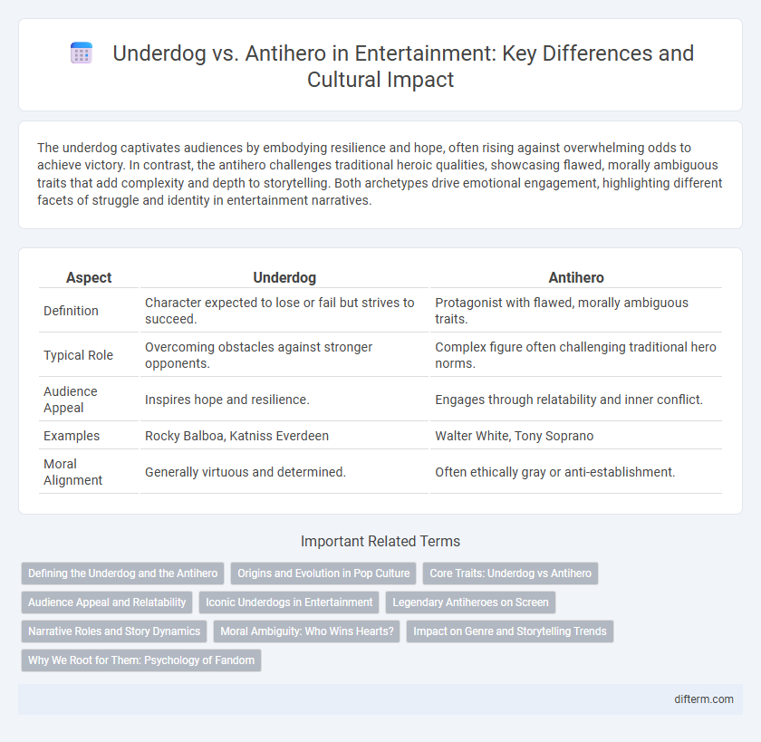 Underdog vs. Antihero in Entertainment: Key Differences and Cultural Impact
