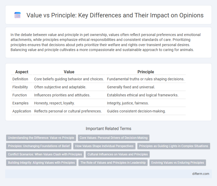 Value vs Principle: Key Differences and Their Impact on Opinions