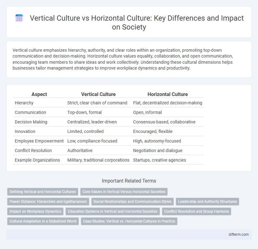 Vertical Culture vs Horizontal Culture: Key Differences and Impact on Society