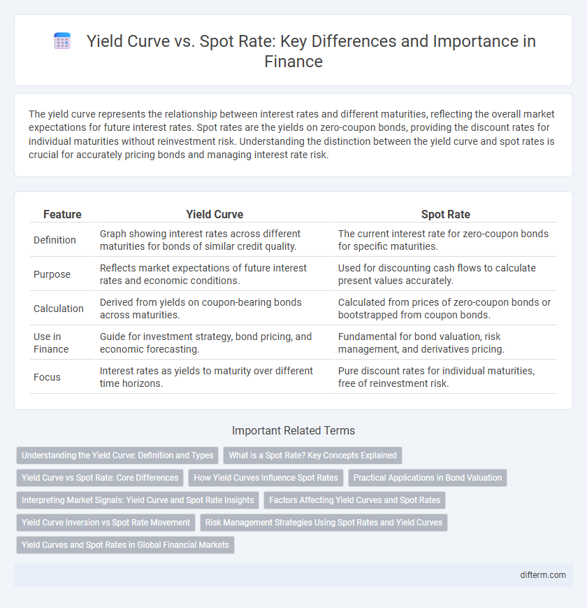 Yield Curve vs. Spot Rate: Key Differences and Importance in Finance