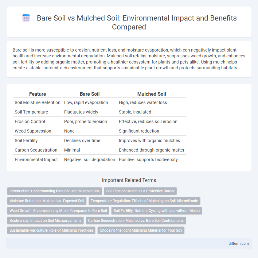 Bare Soil vs Mulched Soil: Environmental Impact and Benefits Compared