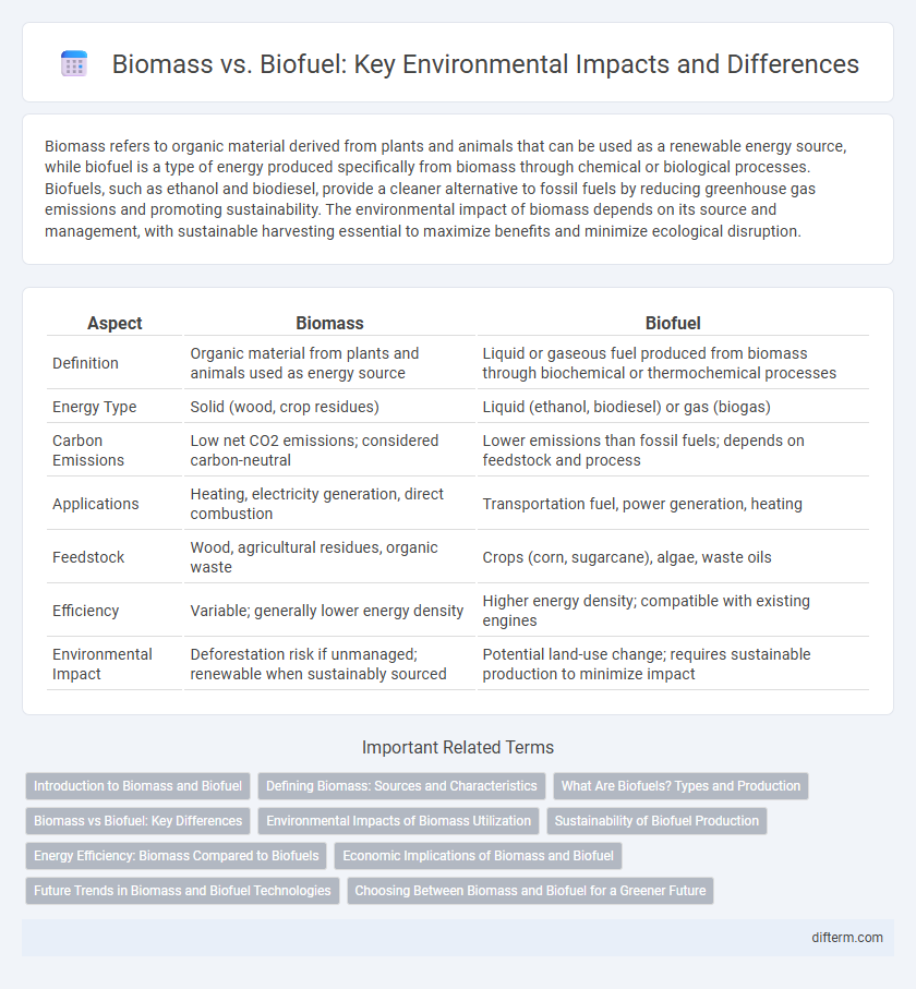 Biomass vs. Biofuel: Key Environmental Impacts and Differences