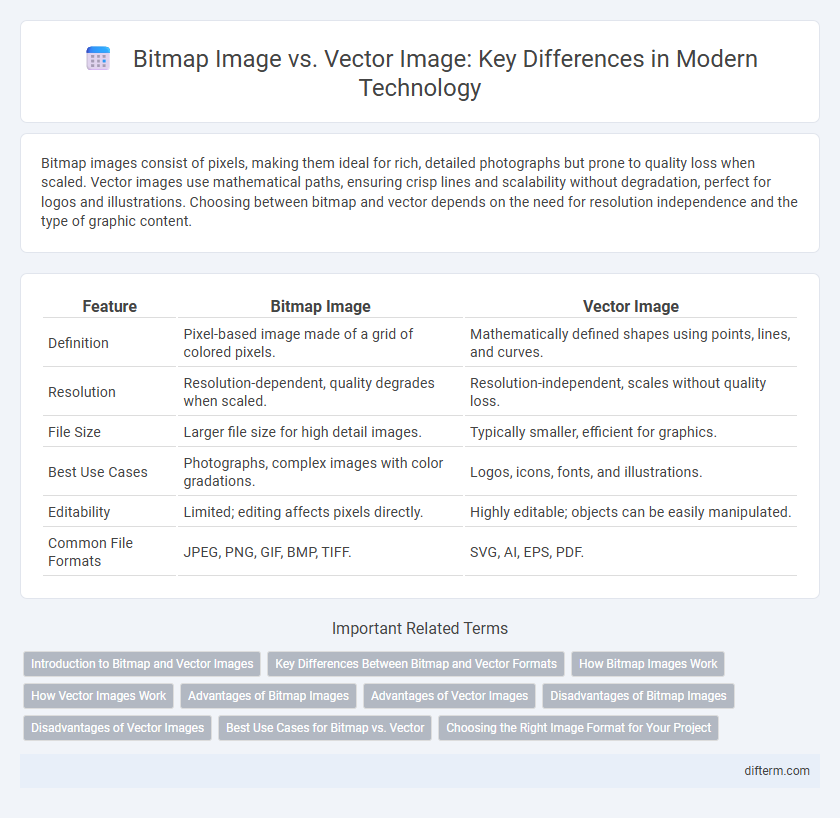 Bitmap Image vs. Vector Image: Key Differences in Modern Technology