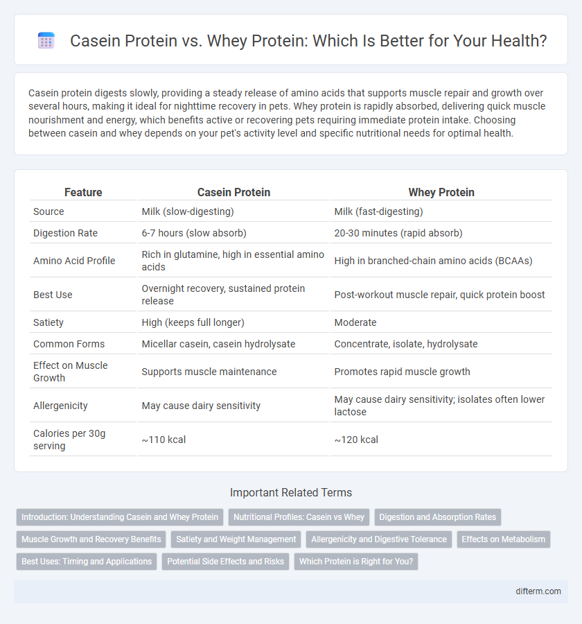 Casein Protein vs. Whey Protein: Which Is Better for Your Health?