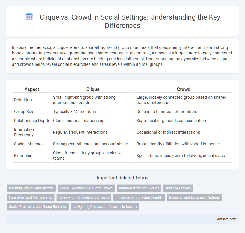 Clique vs. Crowd in Social Settings: Understanding the Key Differences