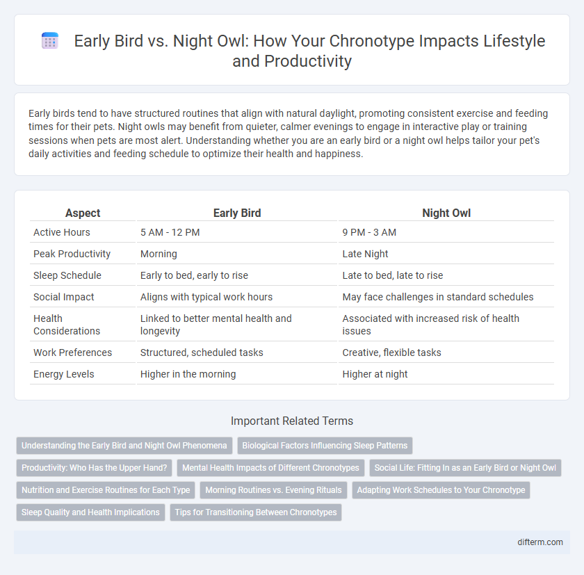 Early Bird vs. Night Owl: How Your Chronotype Impacts Lifestyle and Productivity