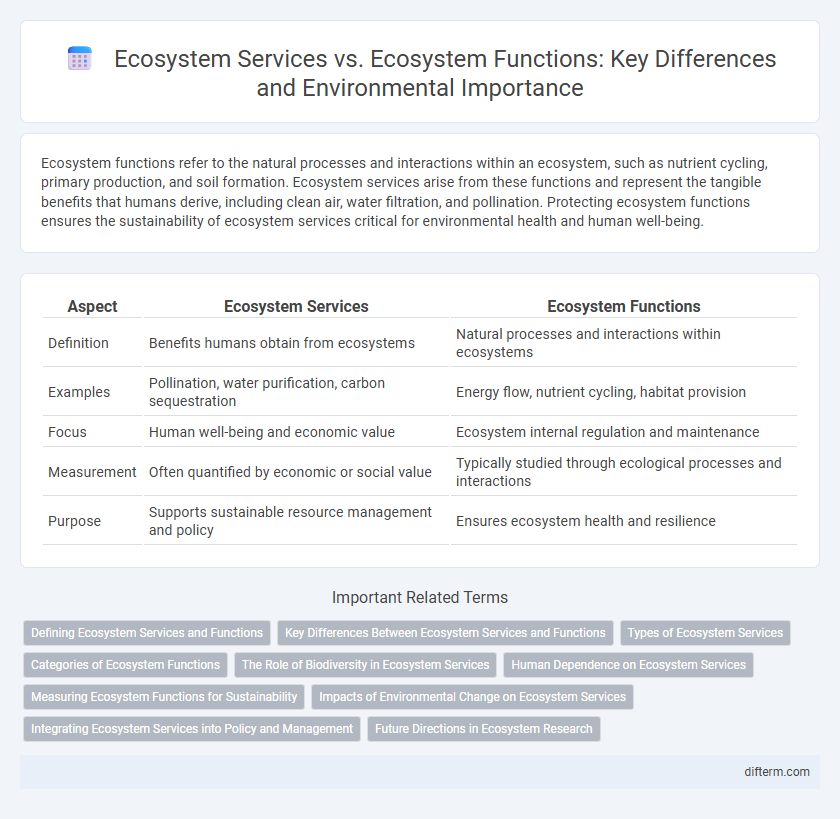 Ecosystem Services vs. Ecosystem Functions: Key Differences and Environmental Importance