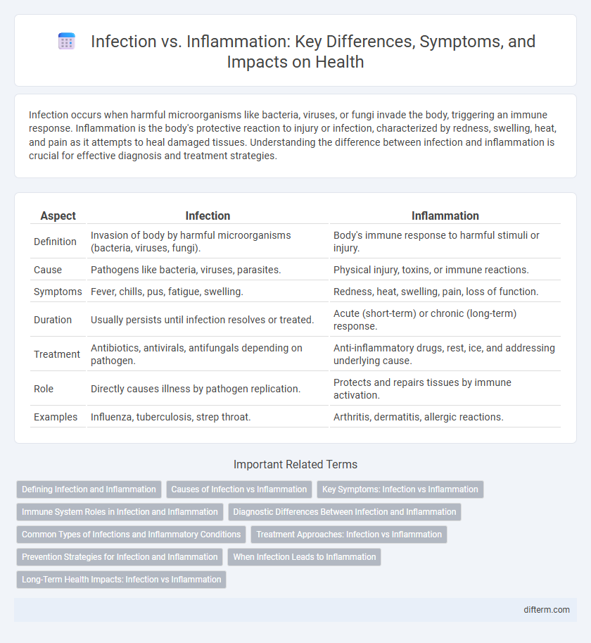 Infection vs. Inflammation: Key Differences, Symptoms, and Impacts on Health