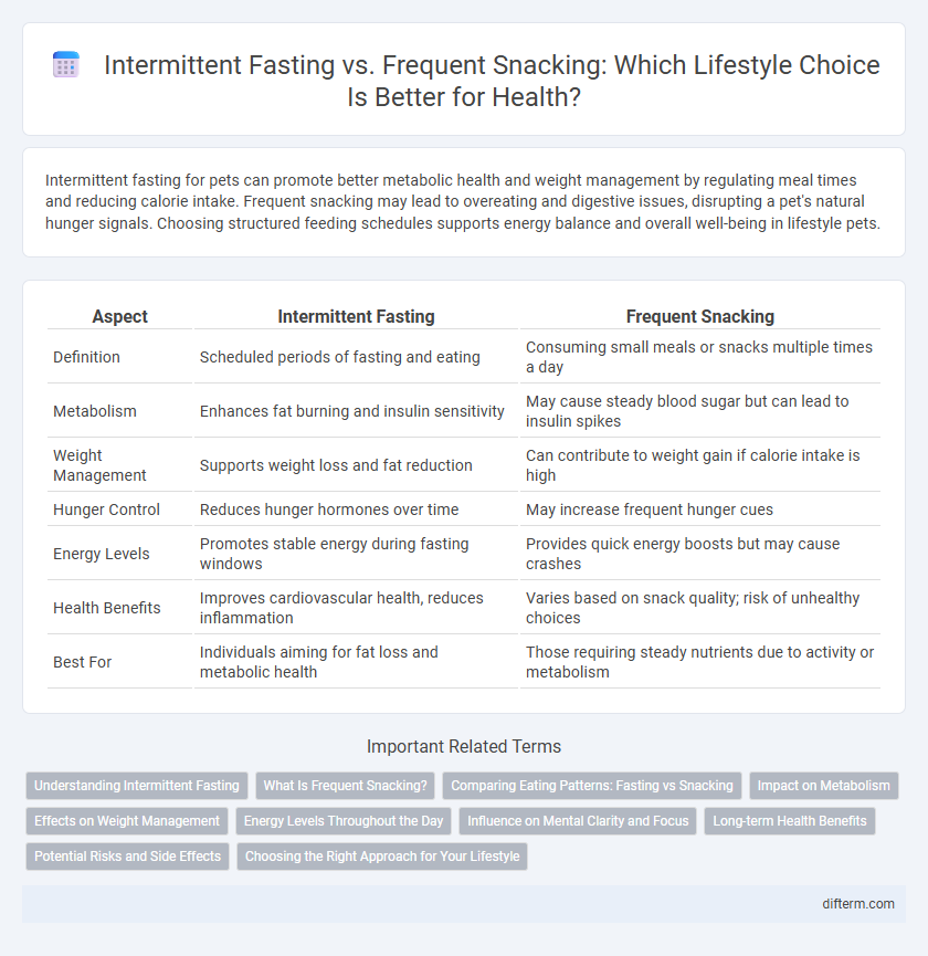 Intermittent Fasting vs. Frequent Snacking: Which Lifestyle Choice Is Better for Health?