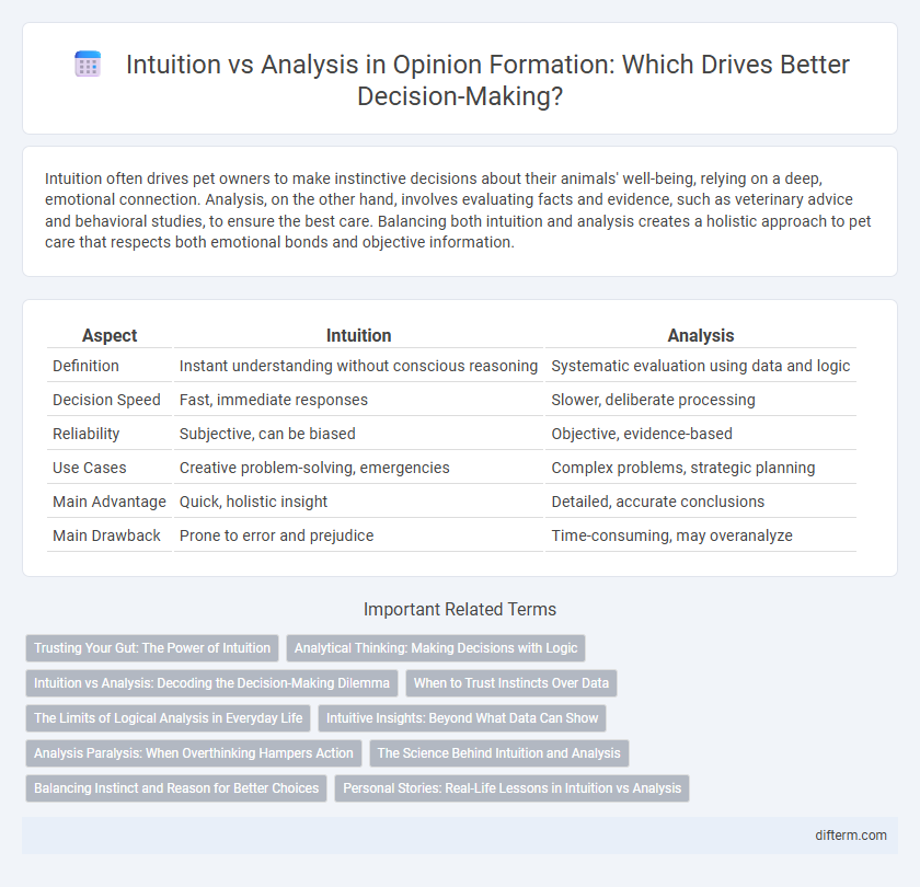 Intuition vs Analysis in Opinion Formation: Which Drives Better Decision-Making?
