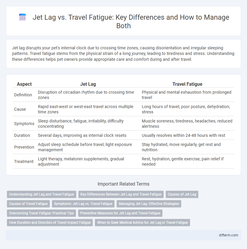 Jet Lag vs. Travel Fatigue: Key Differences and How to Manage Both