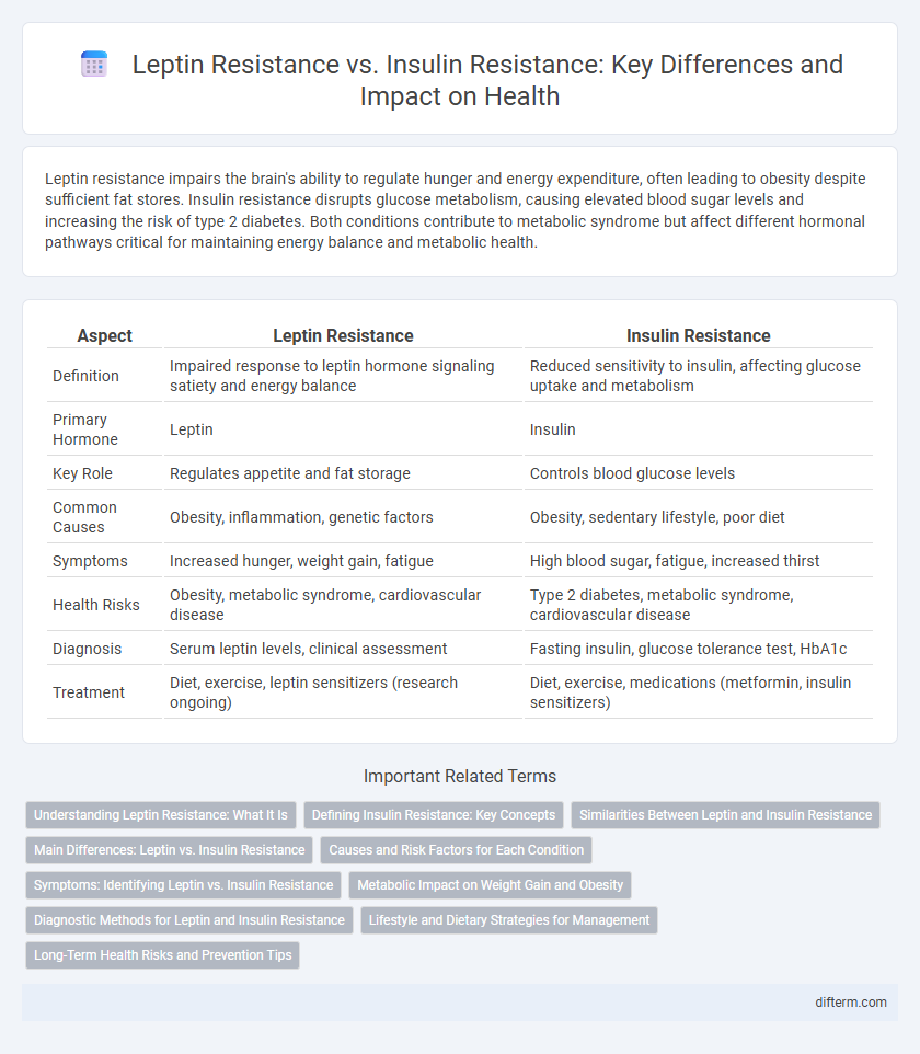 Leptin Resistance vs. Insulin Resistance: Key Differences and Impact on Health