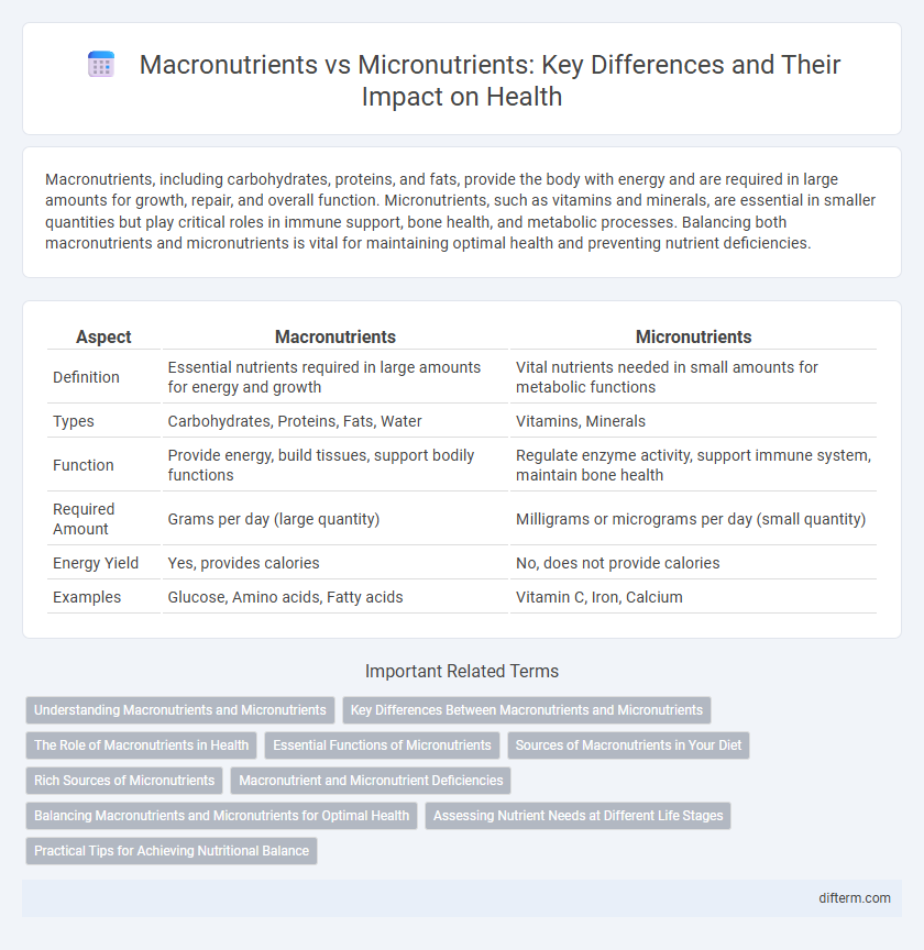Macronutrients vs Micronutrients: Key Differences and Their Impact on Health