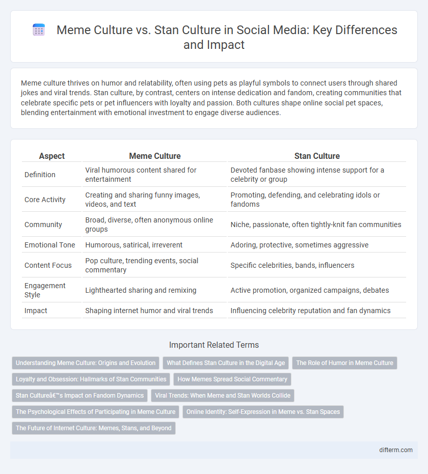 Meme Culture vs. Stan Culture in Social Media: Key Differences and Impact