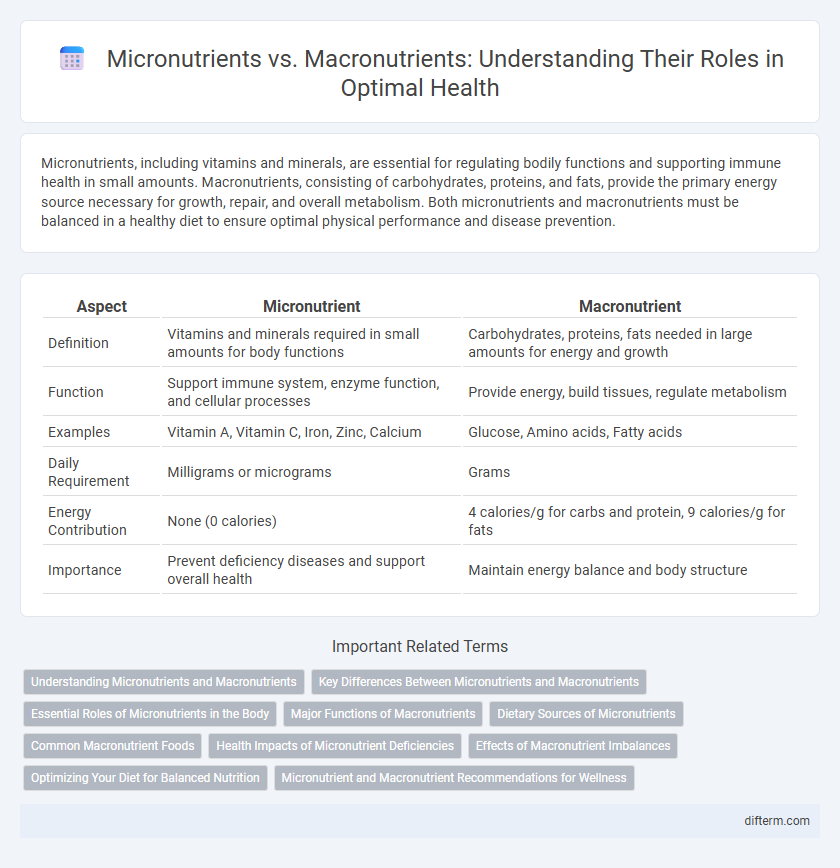 Micronutrients vs. Macronutrients: Understanding Their Roles in Optimal Health